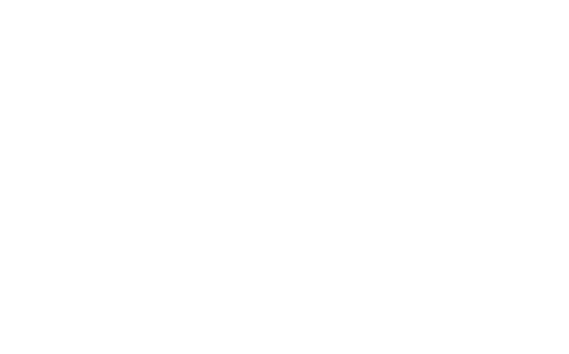 Logo full